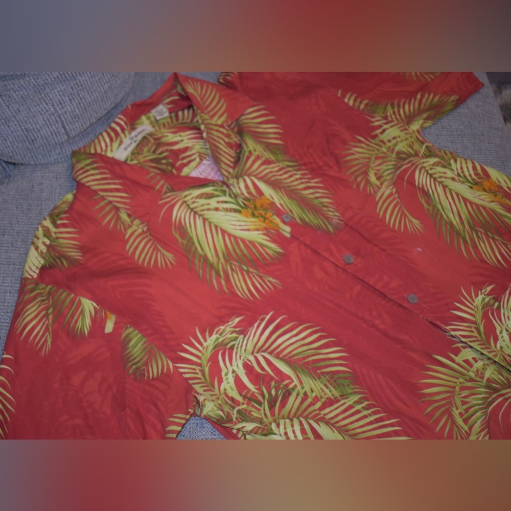 TB button down - Picture 3 of 9
